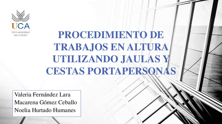 Miniatura del documento procedimto-gruas-y-cestas.pdf