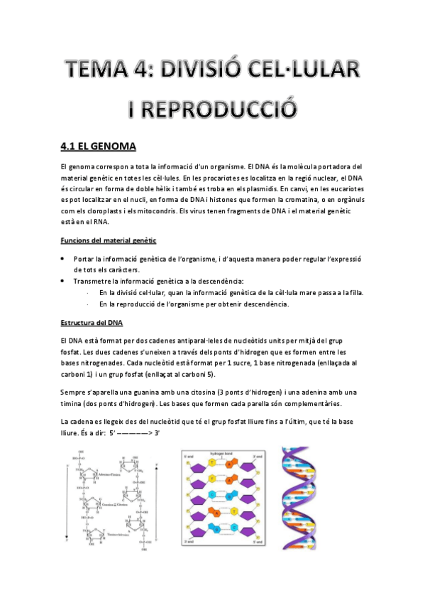 Miniatura del documento Tema 4 - La divisió cel·lular i la reproducció.pdf