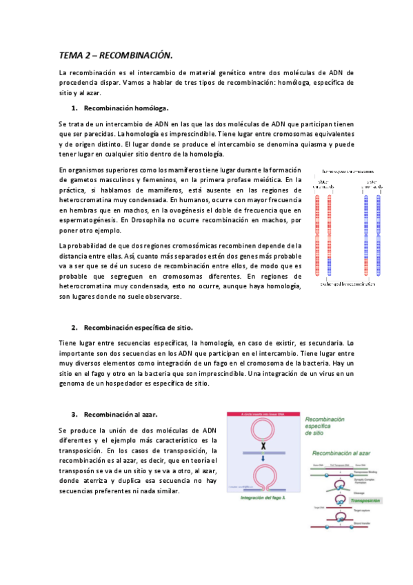 Miniatura del documento temario-completo-genetica.pdf
