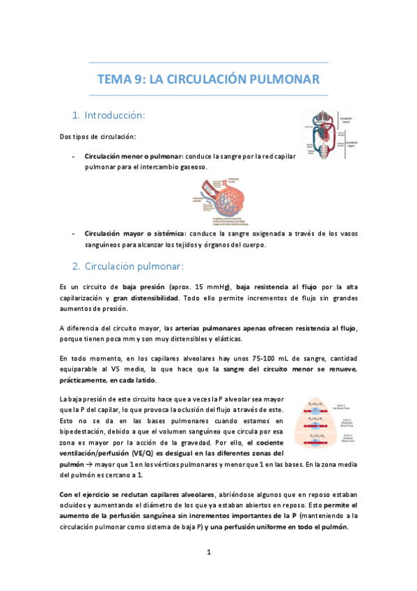 Miniatura del documento TEMA-9-CIRCULACION-PULMONAR.pdf