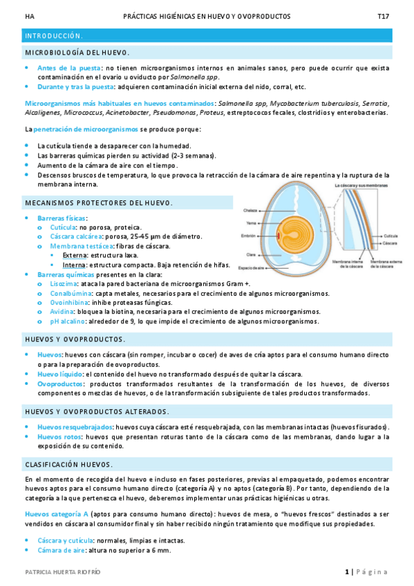 Miniatura del documento T17.pdf
