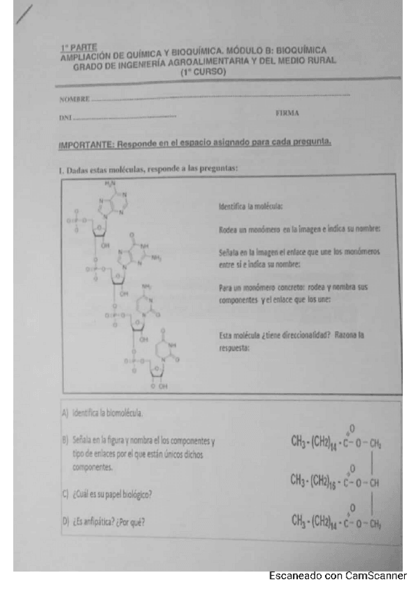 Miniatura del documento Examen-teoria-BIOQUIMICA.pdf