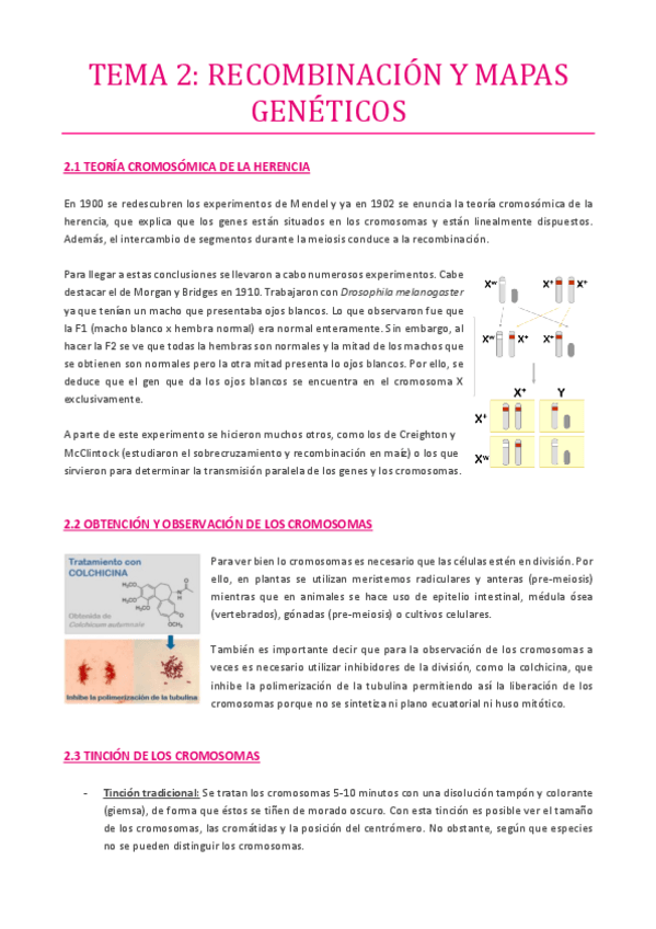 Miniatura del documento TEMA-2.pdf