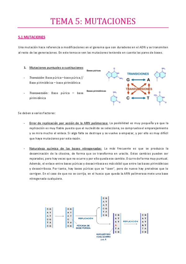 Miniatura del documento TEMA-5.pdf