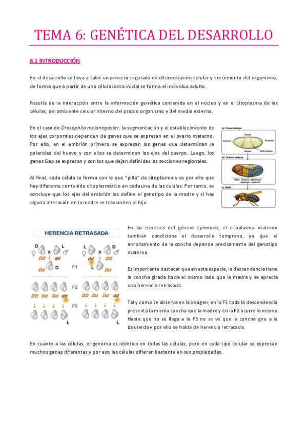 Miniatura del documento TEMA-6.pdf