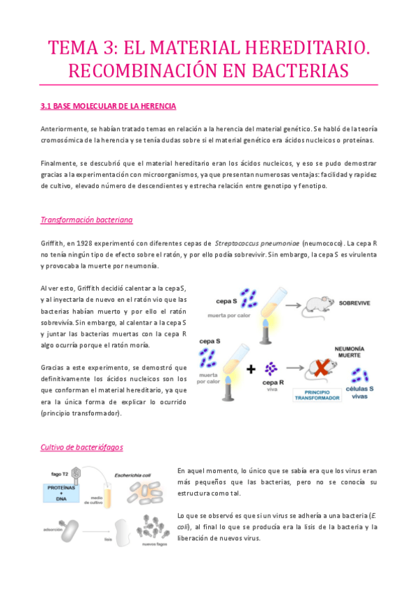 Miniatura del documento TEMA-3.pdf
