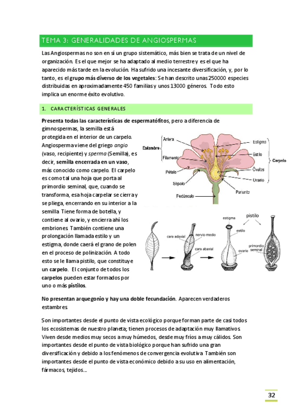 Miniatura del documento TEMA-5. Generalidades angiospermas.pdf
