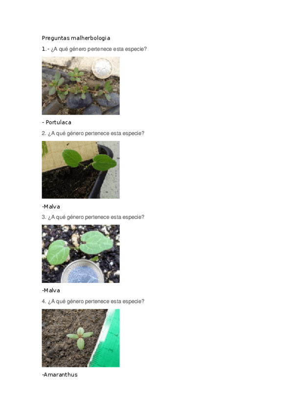 Miniatura del documento malas-hierbas-.docx