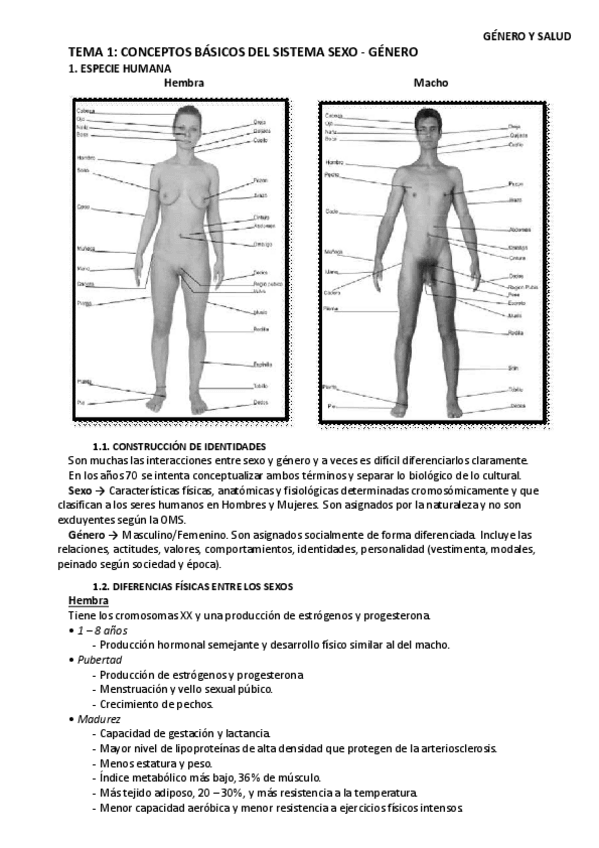 Miniatura del documento apuntes completos genero y salud.pdf