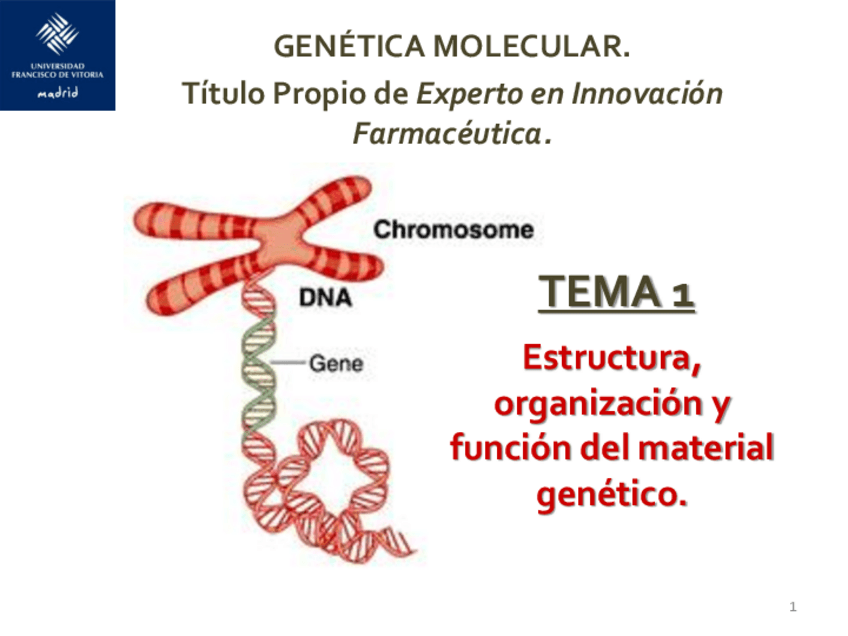Miniatura del documento TEMA-1-Estructura-organizaciAn-y-funciAn-del-material-genActico-1819-AULA.pdf