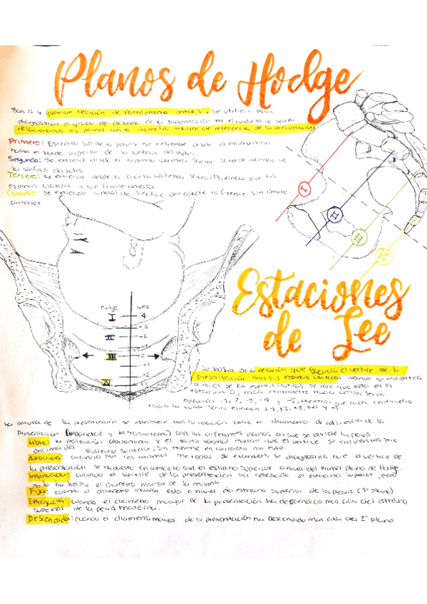 Miniatura del documento Planos-de-Hodge-y-Estaciones-de-Lee.pdf