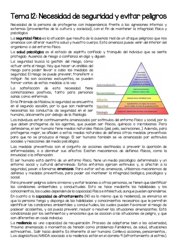 Miniatura del documento T12-Necesidad-de-seguridad-y-evitar-peligros.pdf