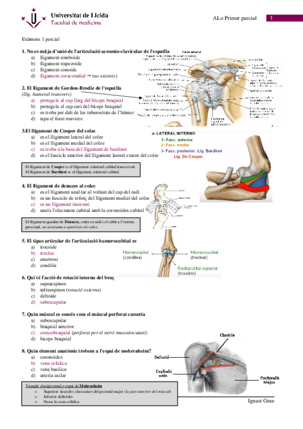 Miniatura del documento examen-1o-parcial.docx