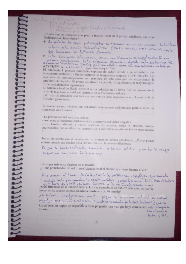 Miniatura del documento 1.pdf
