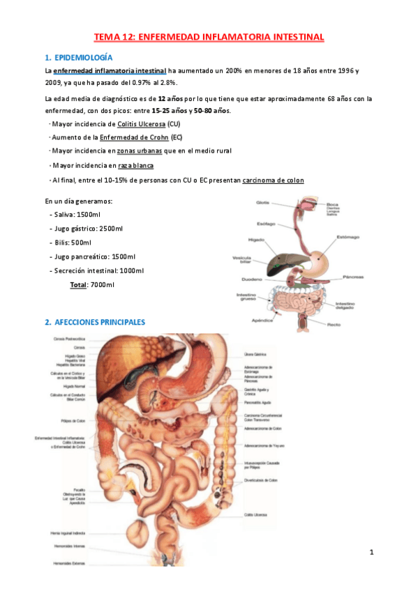 Miniatura del documento TEMA-12-enfermedad-inflamatoria-intestinal.pdf