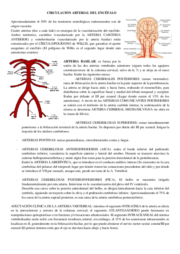Miniatura del documento T6-PARTE-1-ANATO-II.pdf