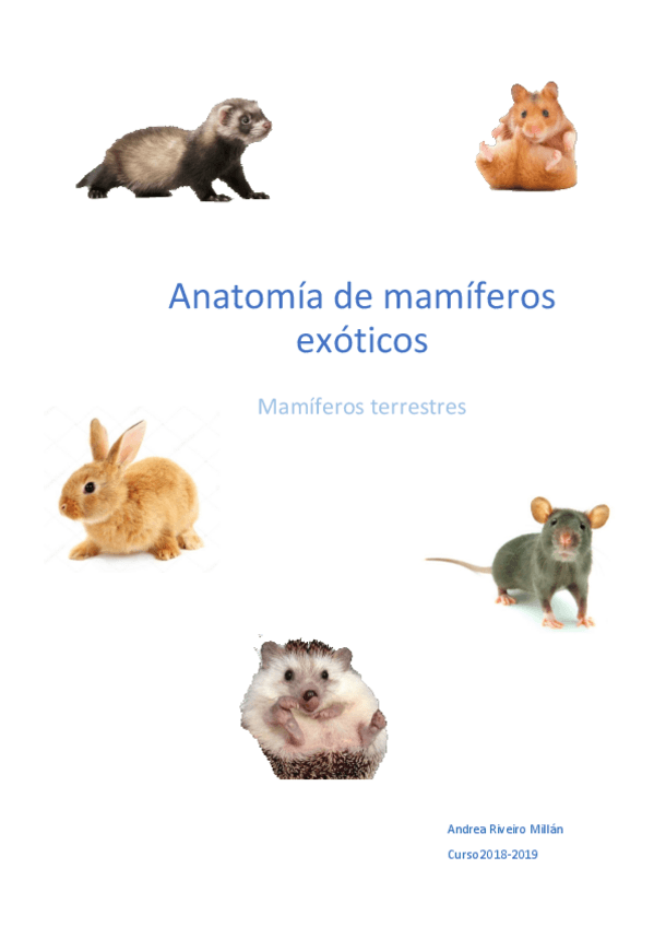 Miniatura del documento Apuntes-mamiferos-terrestres.pdf