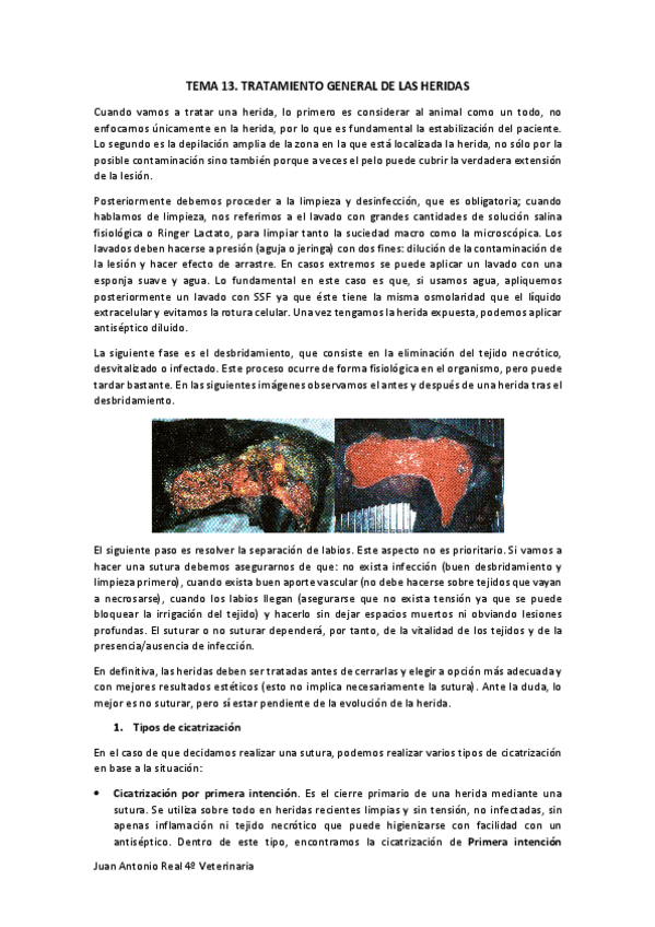 Miniatura del documento Tema-13.pdf
