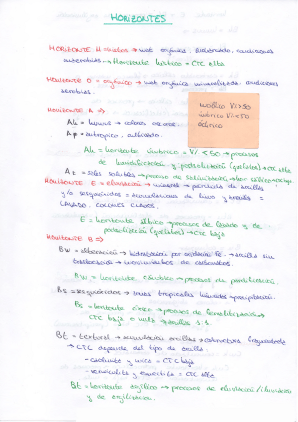 Miniatura del documento RESUMEN_HORIZONTES.pdf