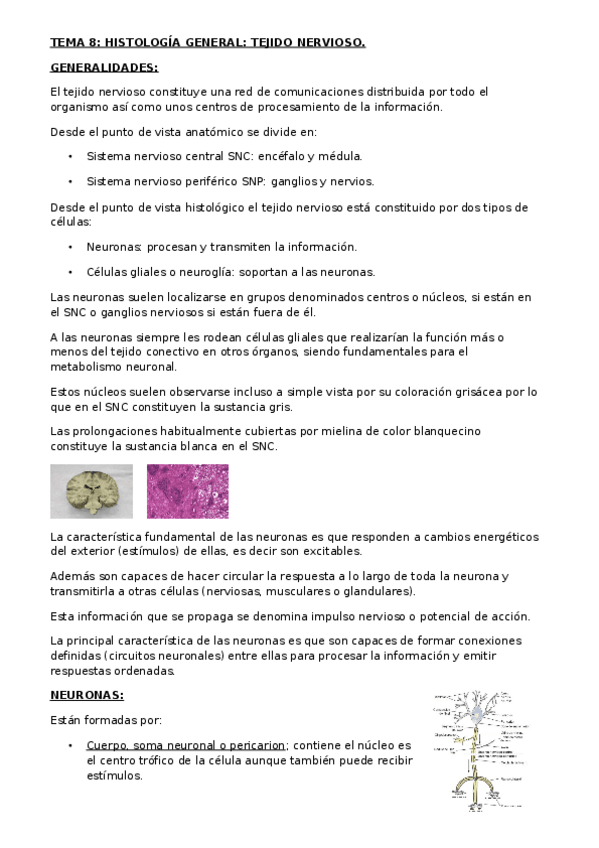 Miniatura del documento TEMA-8.docx
