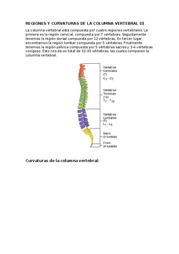 Miniatura del documento OSTEO-6-10-4.docx