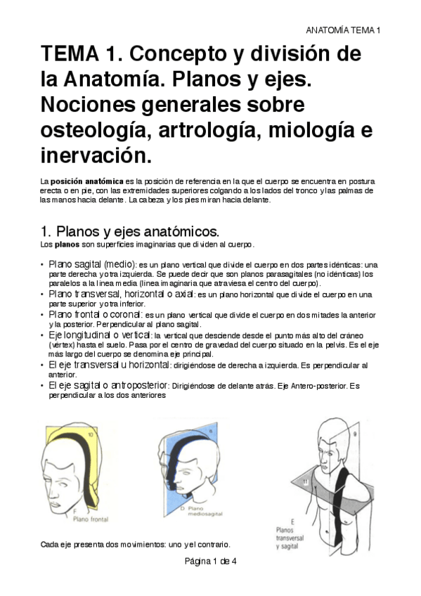 Miniatura del documento TEMA 1. GENERALIDADES.pdf
