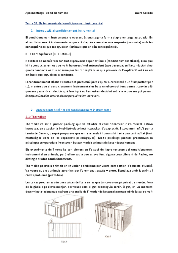 Miniatura del documento Tema 10_Complet.pdf
