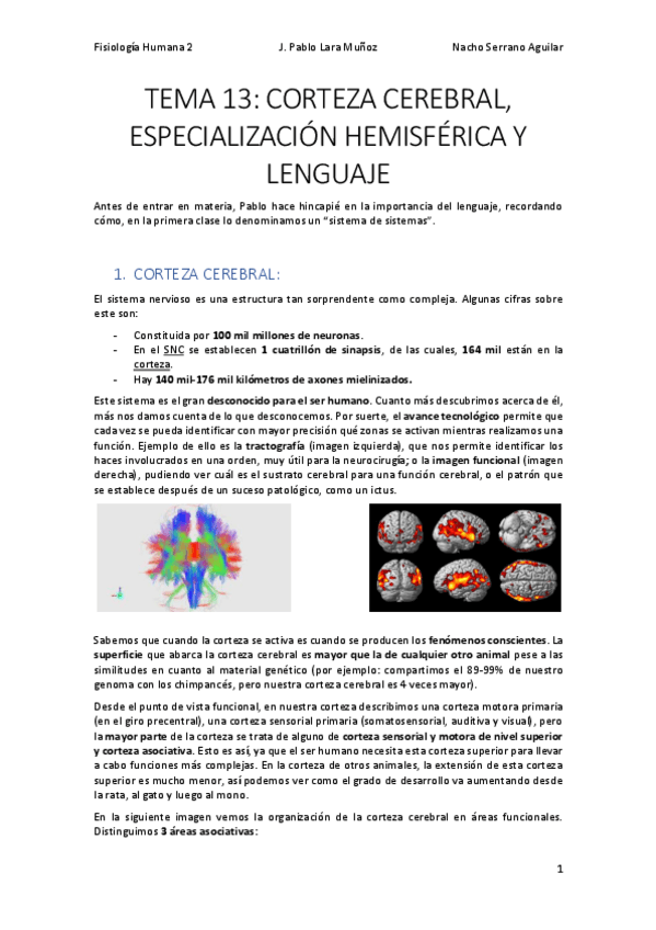 Miniatura del documento TEMA-13-CORTEZA-CEREBRAL-ESPECIALIZACION-HEMISFERICA-Y-LENGUAJE.pdf
