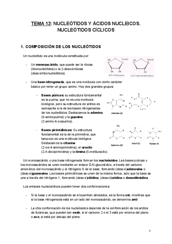Miniatura del documento Tema-13-BQE.pdf