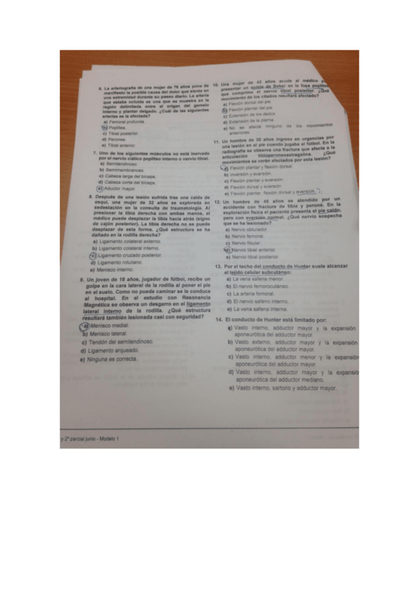 Miniatura del documento FOTOS-1.pdf