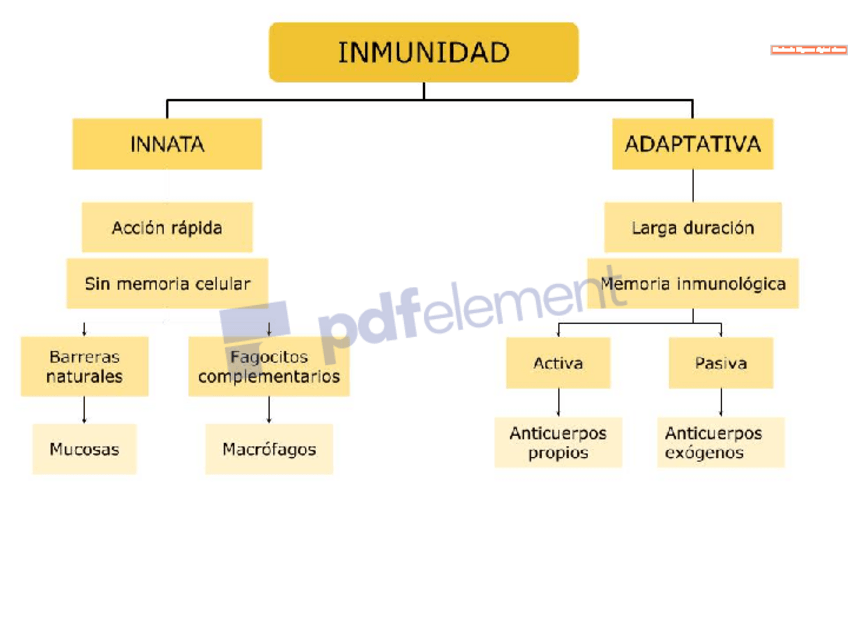 Miniatura del documento inmunidad.pdf