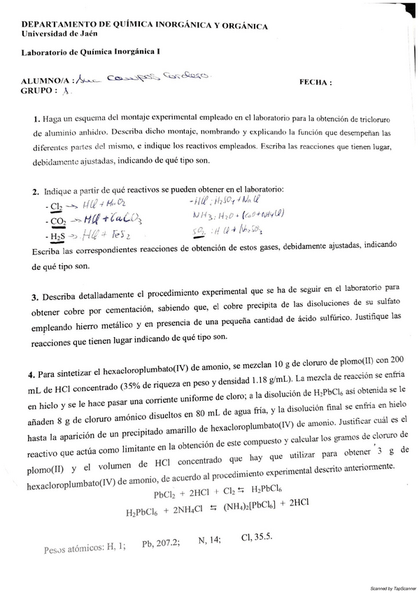 Miniatura del documento laboratorio-inorganica-1.pdf