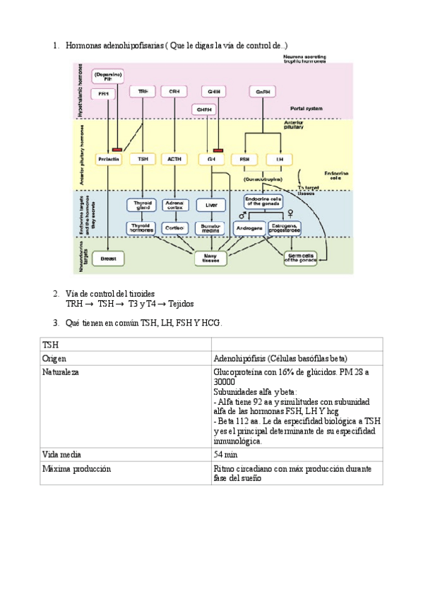 Miniatura del documento Preguntas-Estrella.pdf