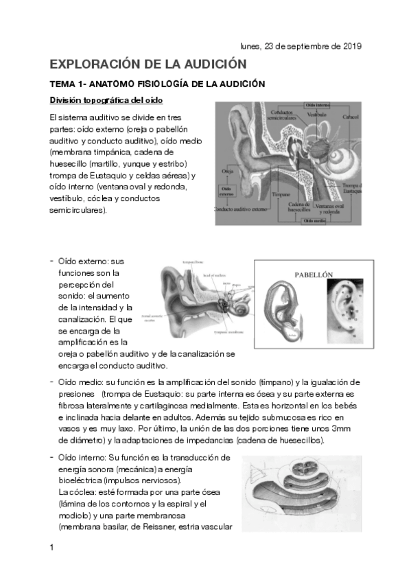 Miniatura del documento apuntes-exploracion-de-la-audicion-2o-logopedia.pdf