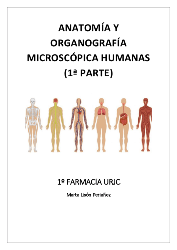 Miniatura del documento Anatomia-Todo.pdf