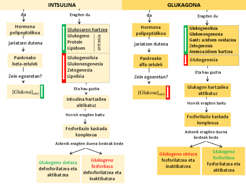 Miniatura del documento 19.pdf