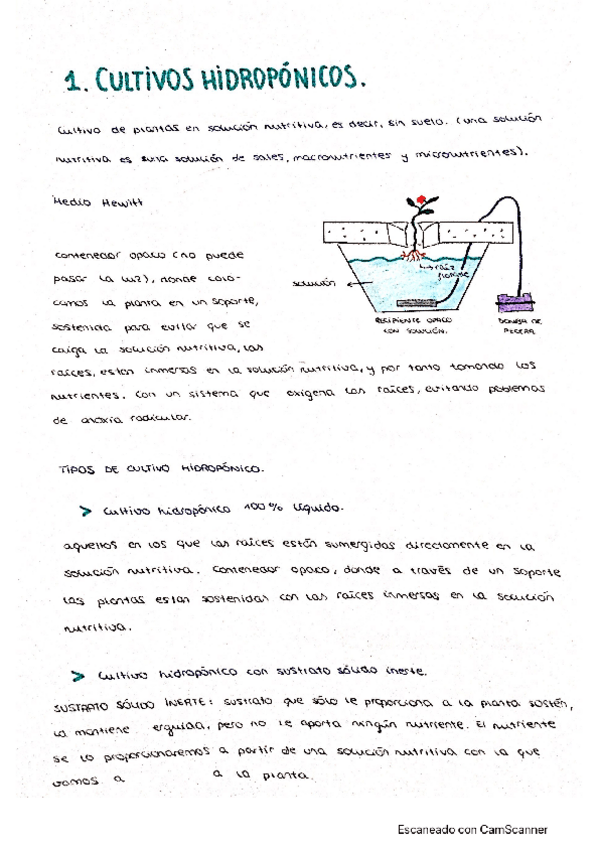 Miniatura del documento fisiovegetal.pdf