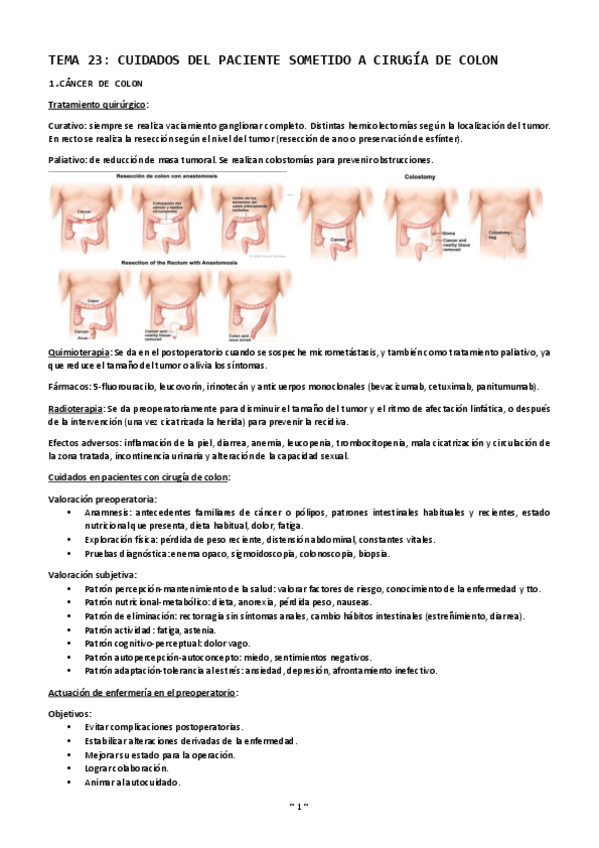 Miniatura del documento Tema-23-cuidados-del-paciente-sometidoa-cirugia-del-colon.pdf