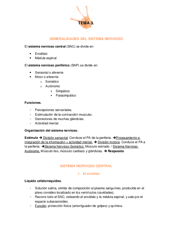 Miniatura del documento TEMA-3.docx