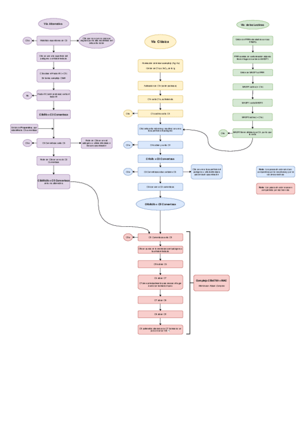 Miniatura del documento Vias-del-complemento.pdf