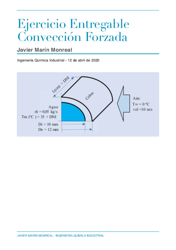 Miniatura del documento INFORME-conveccion-forzada-jmm.pdf