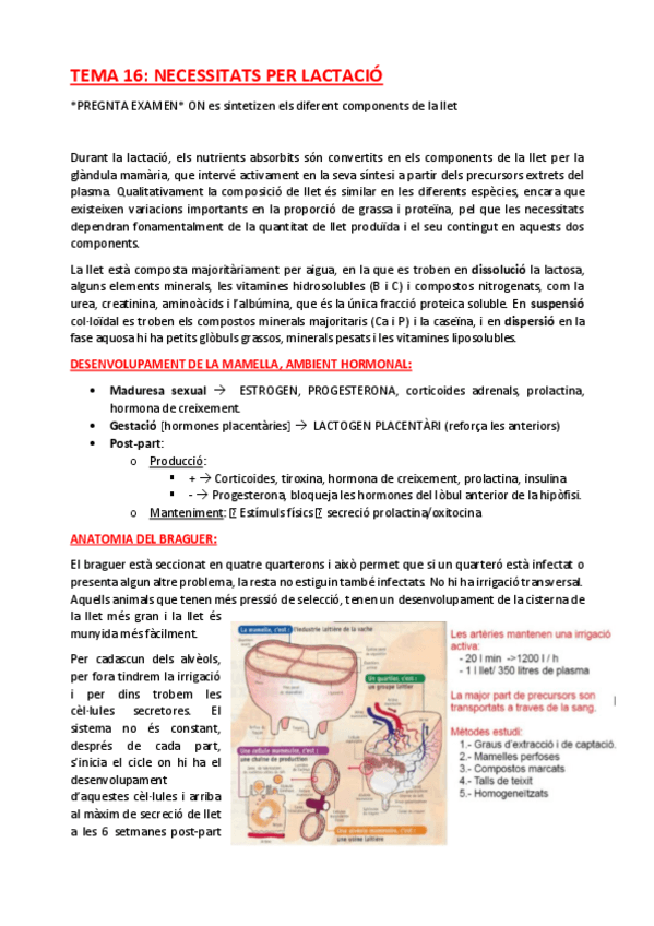 Miniatura del documento TEMA-16.pdf