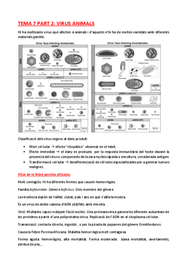 Miniatura del documento TEMA-7-part-2.pdf
