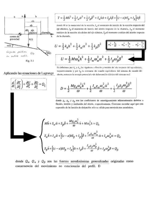 Miniatura del documento Resumen-Flameo.pdf