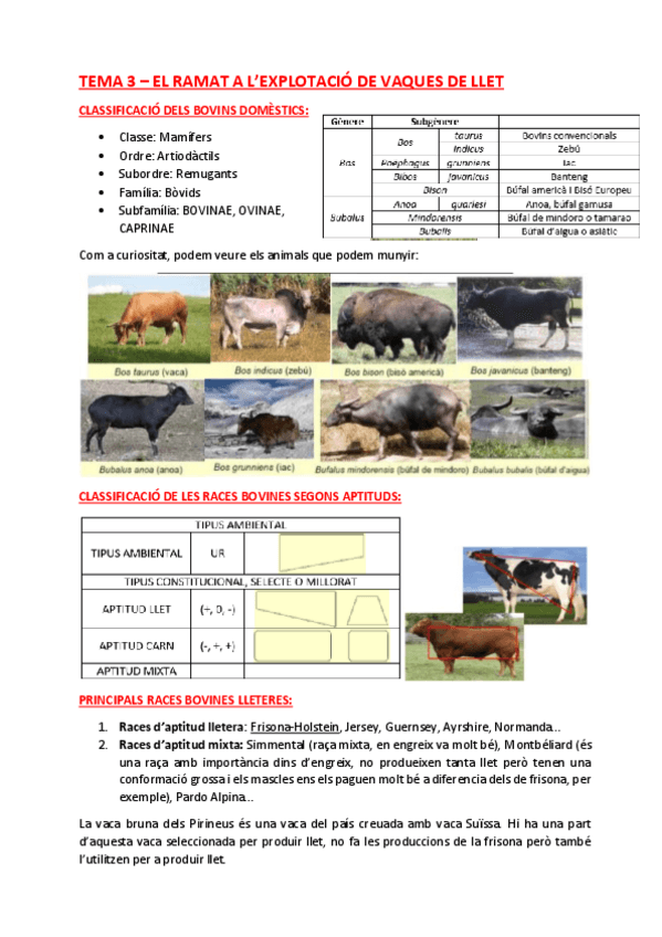 Miniatura del documento TEMA-3.pdf