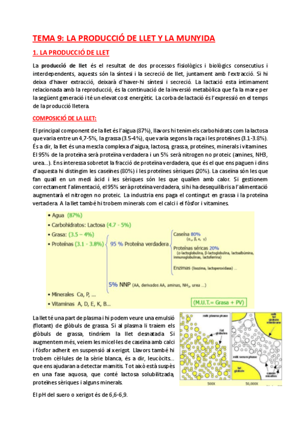 Miniatura del documento TEMA-9.pdf