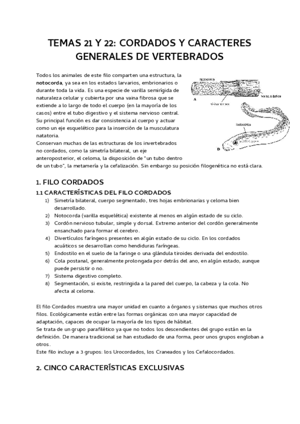 Miniatura del documento temas-21-y-22-caracteres-generales-de-cordados-y-de-vertebrados.pdf