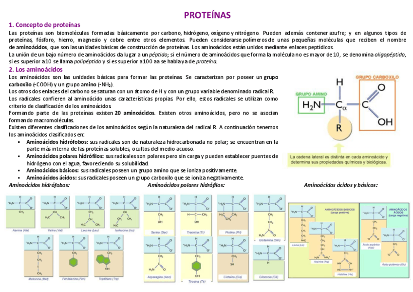 Miniatura del documento 5-PROTEINAS.pdf