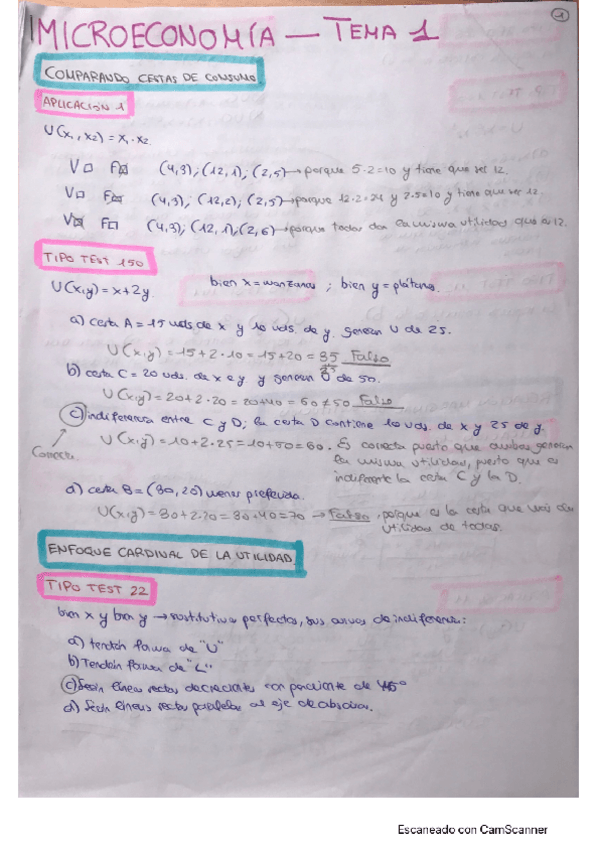 Miniatura del documento TEMA-1.pdf