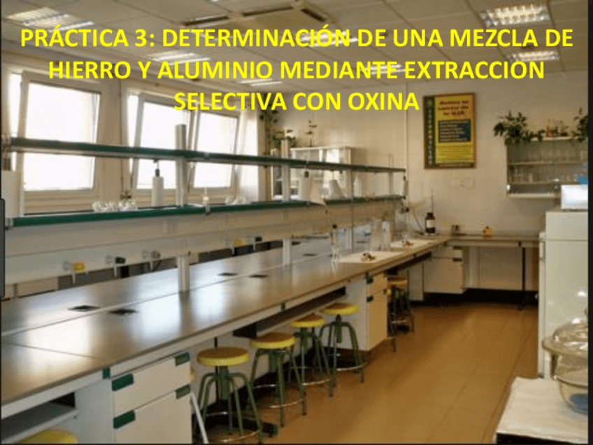 Miniatura del documento Determinacion-de-Fe-y-Al-por-extraccion-con-oxina.pdf